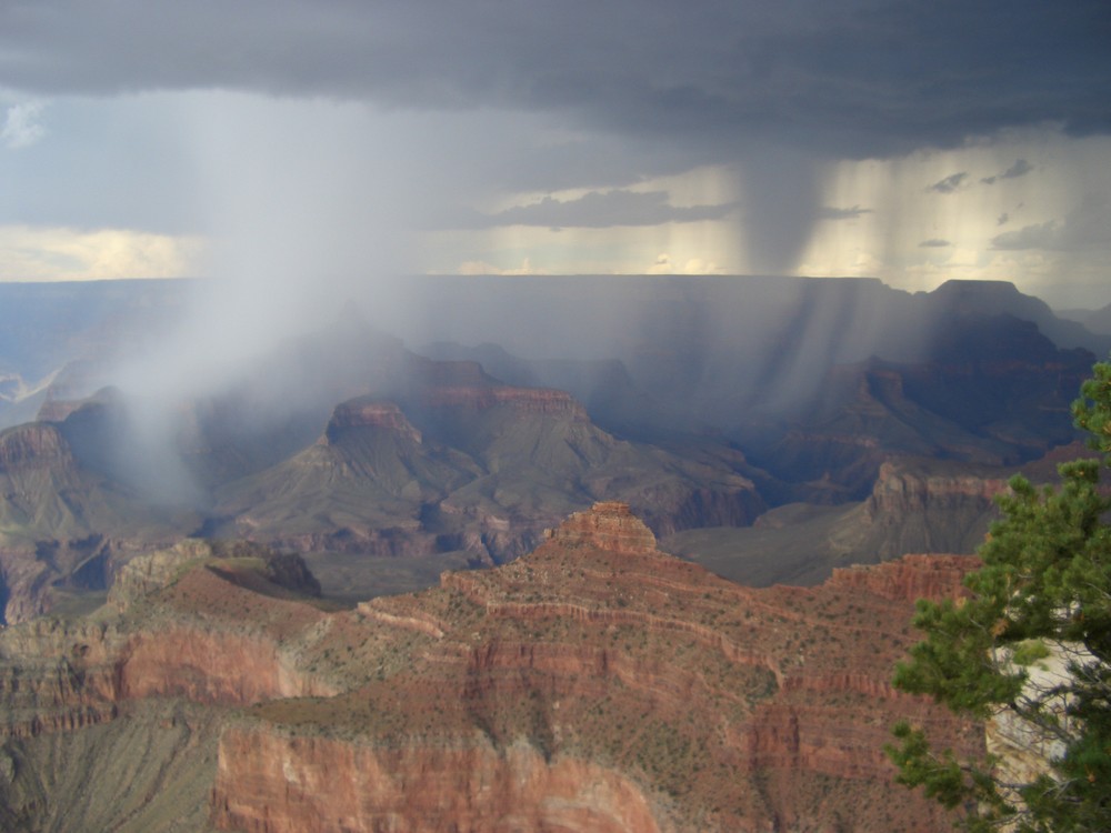 rain in the canyon