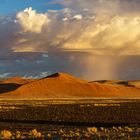 Rain in the Desert