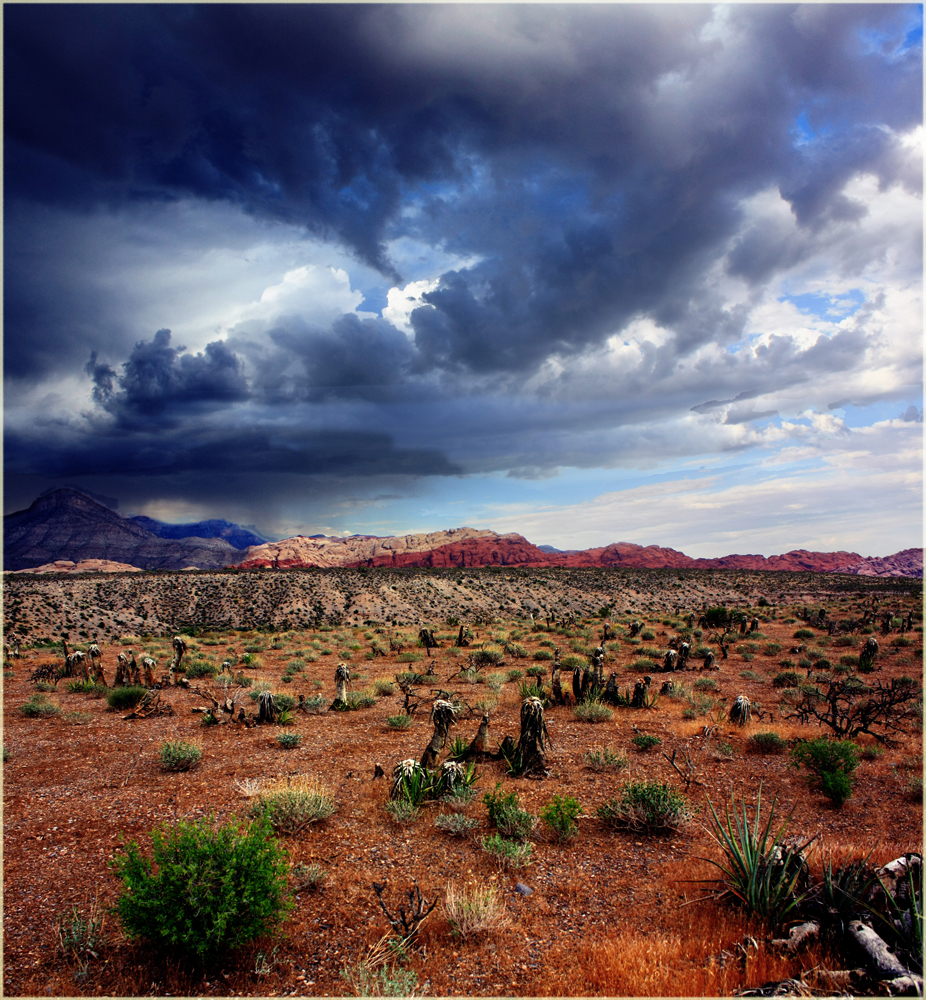 Rain in the desert (Red Rock Canyon, Nevada)