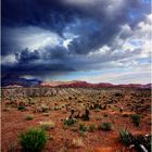 Rain in the desert (Red Rock Canyon, Nevada)