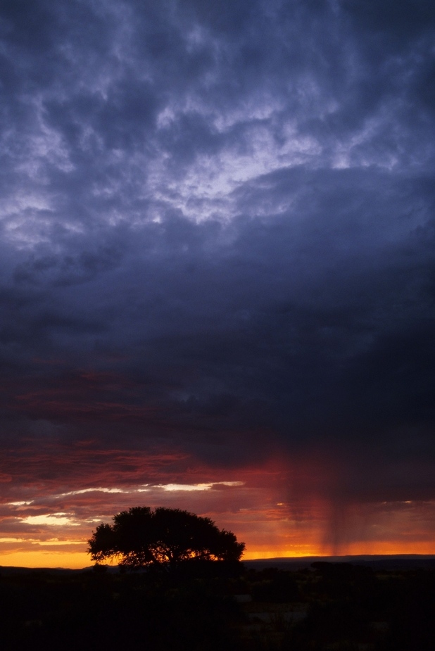 Rain is coming (II)