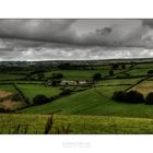 Rain on Exmoor