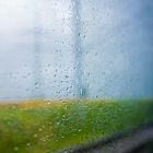 rain on train