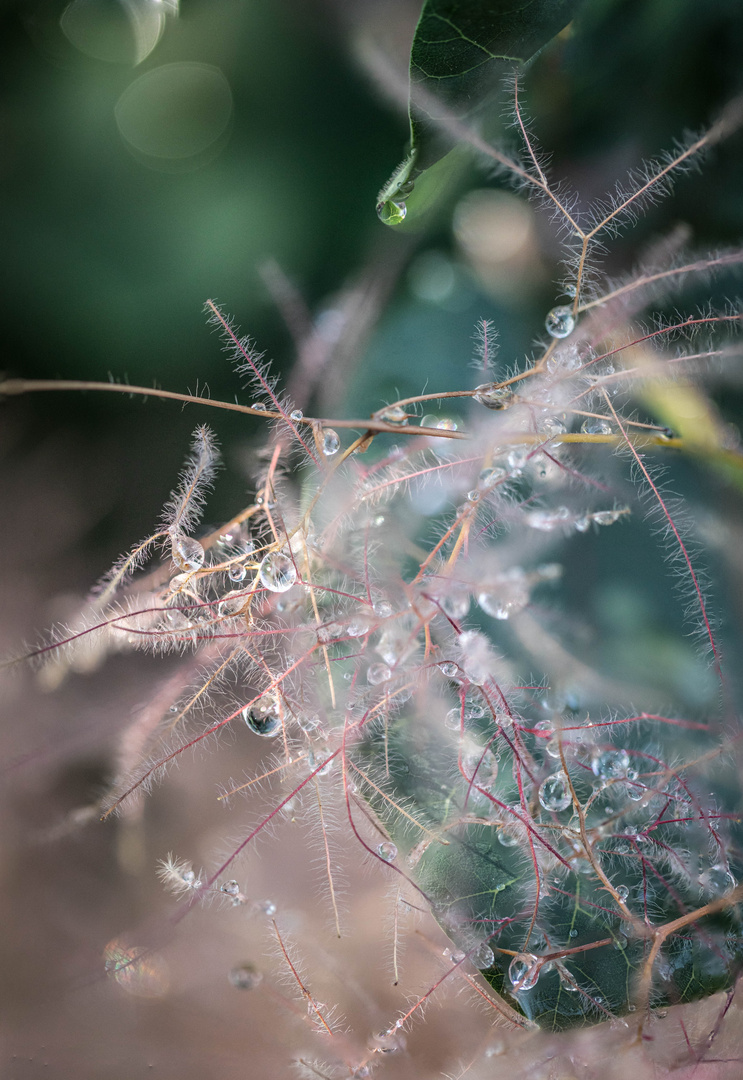 Rain spheres