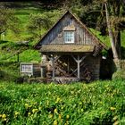 Rainbauernmühle (Furschenbach)