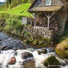 Rainbauernmühle(Ottenhöfen-Furschenbach) m Acher