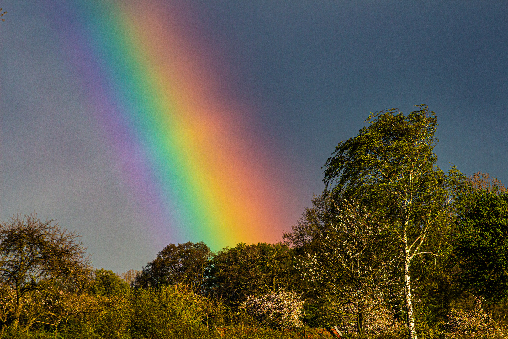 Rainbow