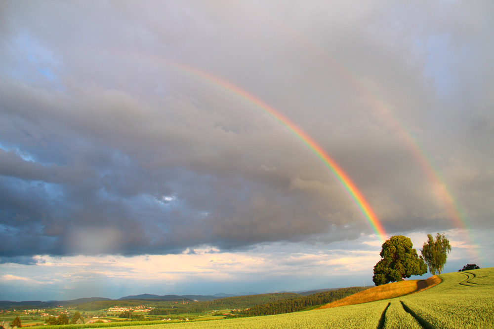 Rainbow