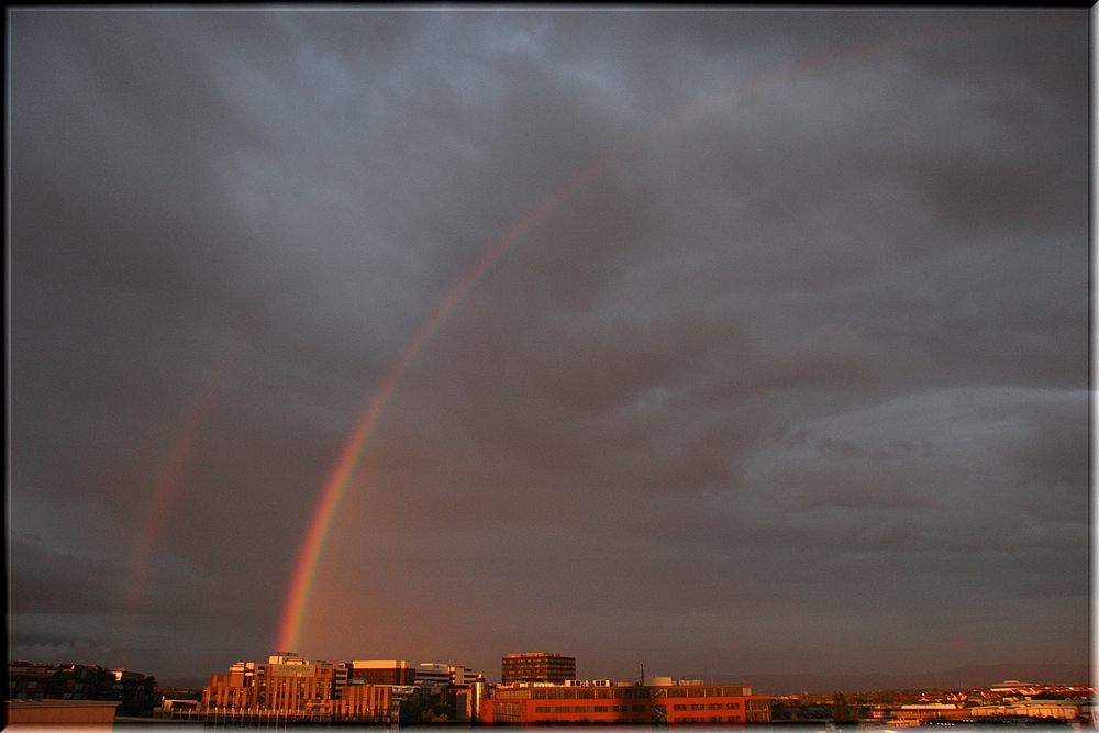 "rainbow"