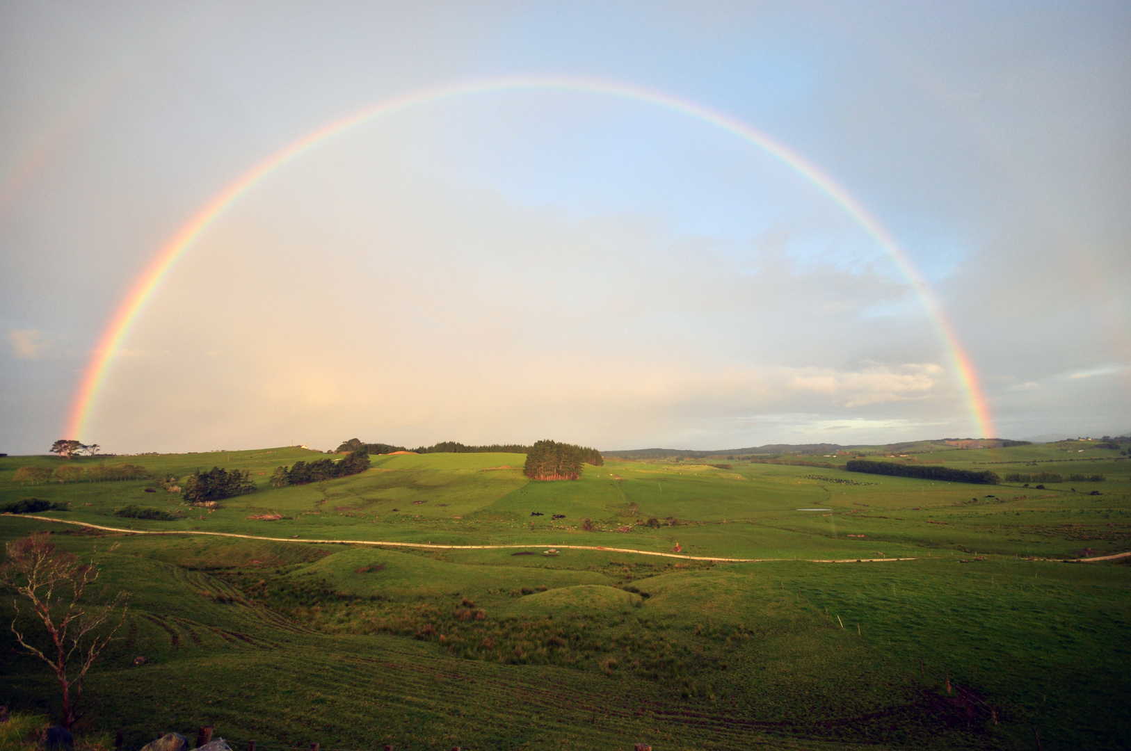 Rainbow