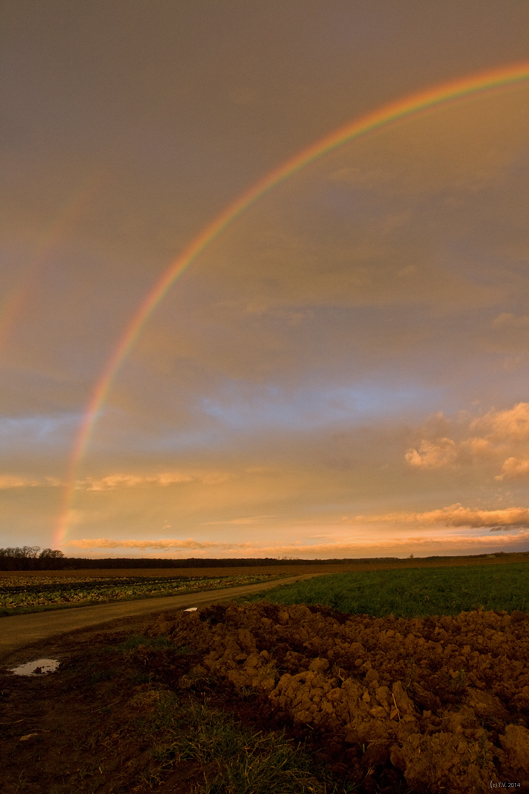 rainbow