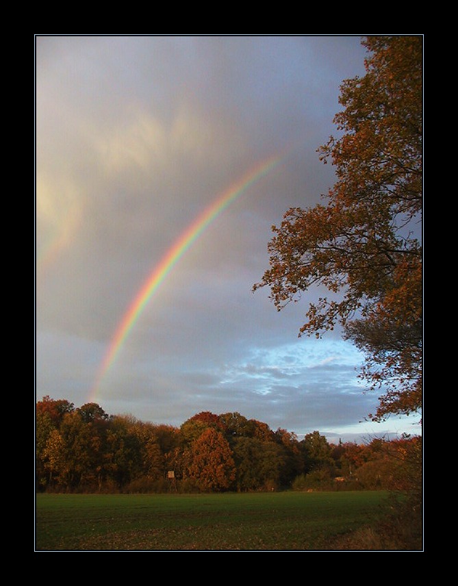 ---Rainbow---