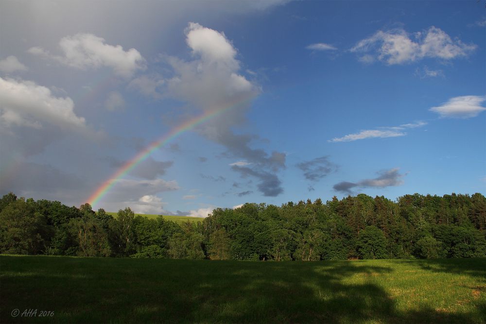 Rainbow