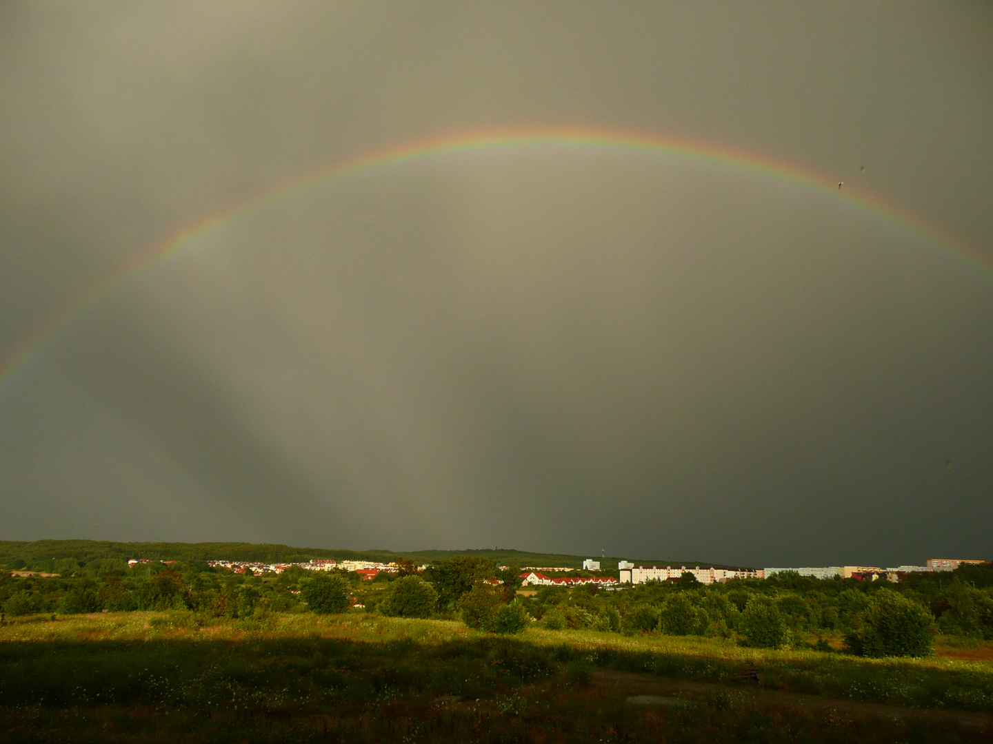 Rainbow