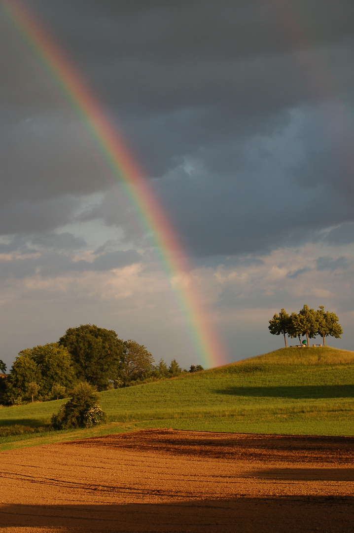 rainbow