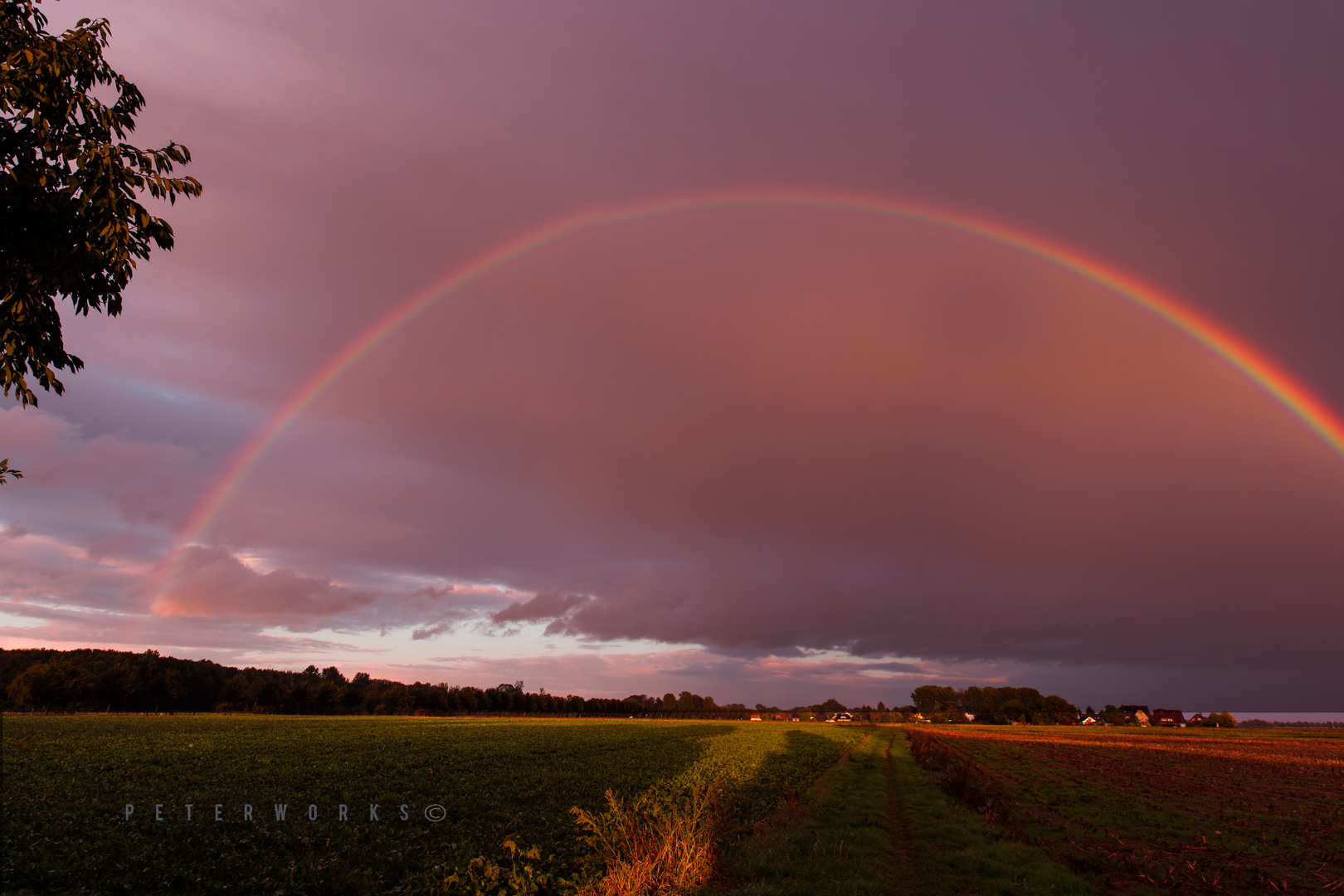 Rainbow