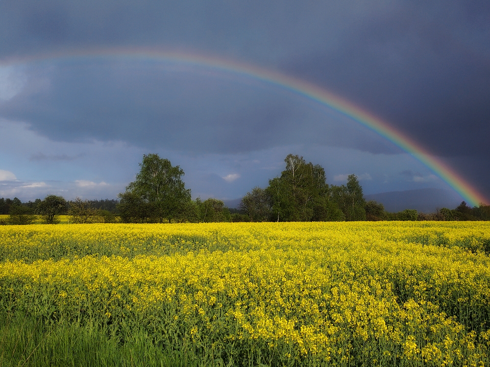 Rainbow after rain