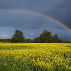 Rainbow after rain