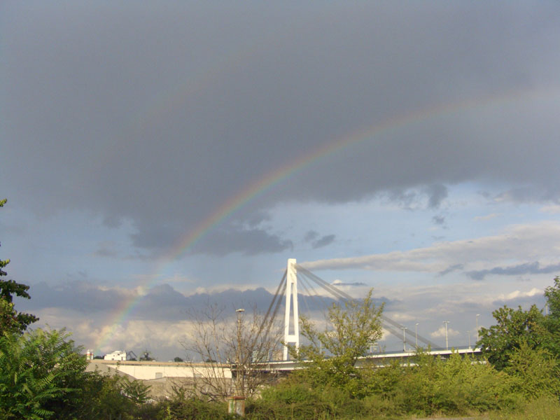 Rainbow am Rhein