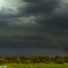 Rainbow and Shelf