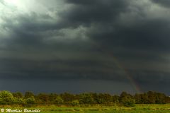 Rainbow and Shelf