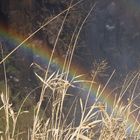 Rainbow at Victoria Falls