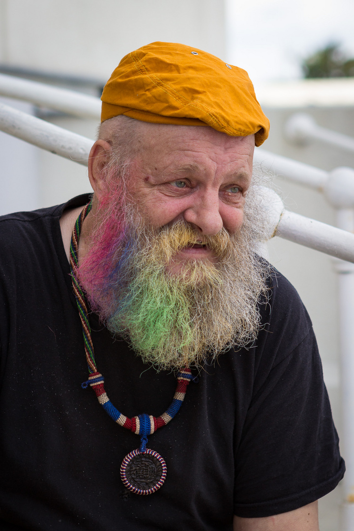 Rainbow Bearded