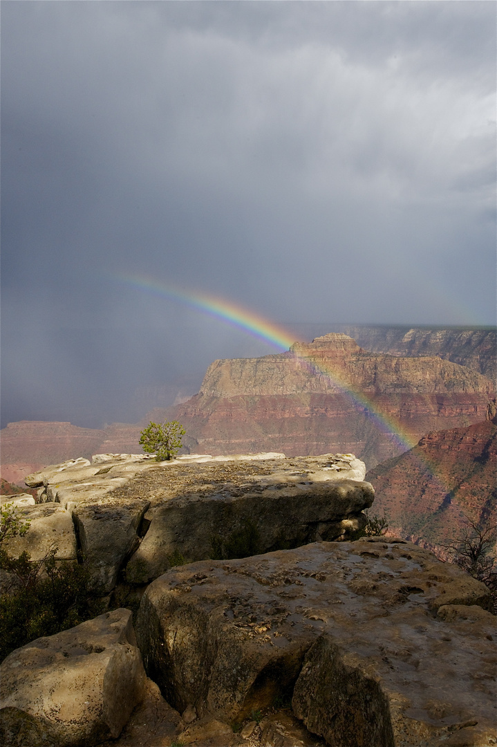 Rainbow