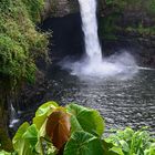 Rainbow falls, Hilo