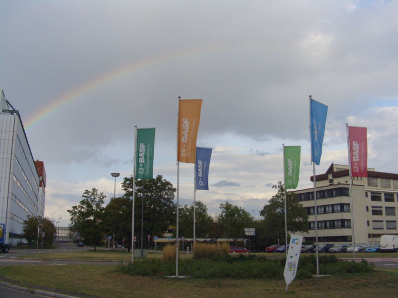 Rainbow flags