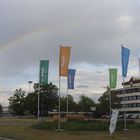 Rainbow flags