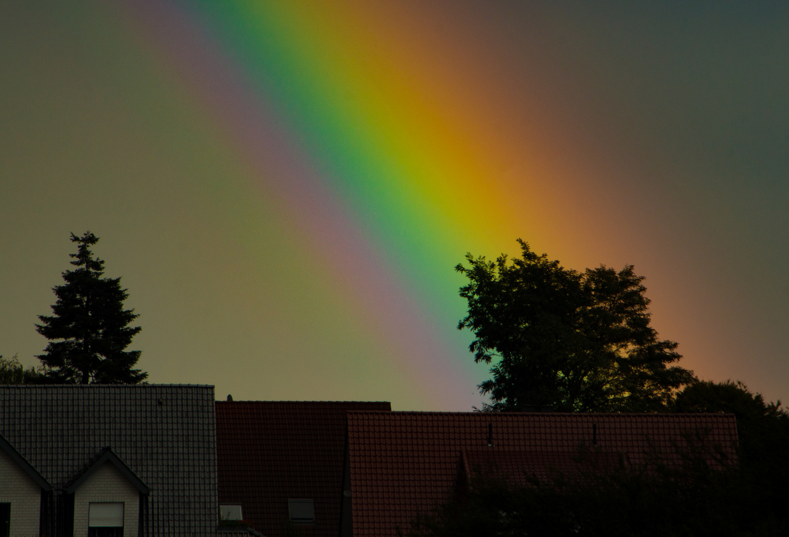 Rainbow II