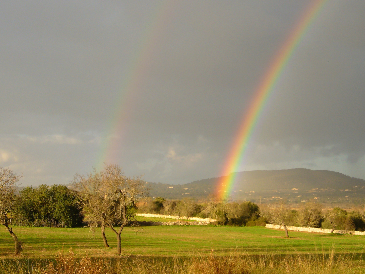 Rainbow im Doppelpack …