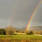 Rainbow im Doppelpack …