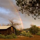 rainbow in Cane Beds