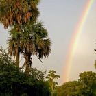 Rainbow in Florida