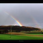 Rainbow in Neerach