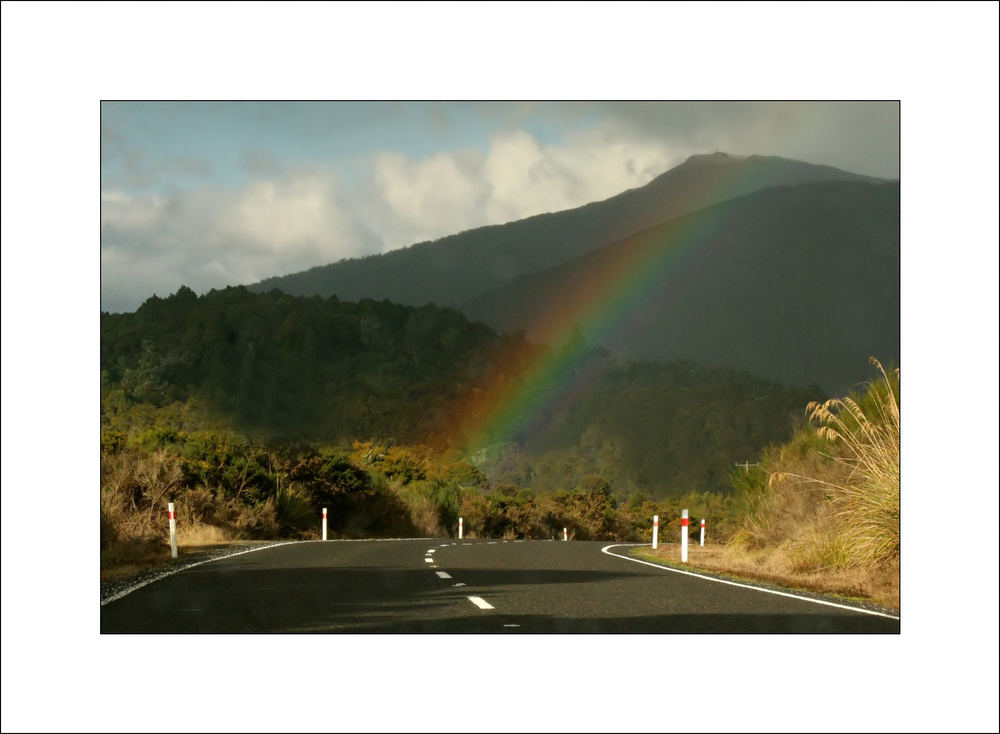 Rainbow in the forest