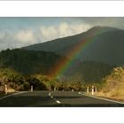 Rainbow in the forest