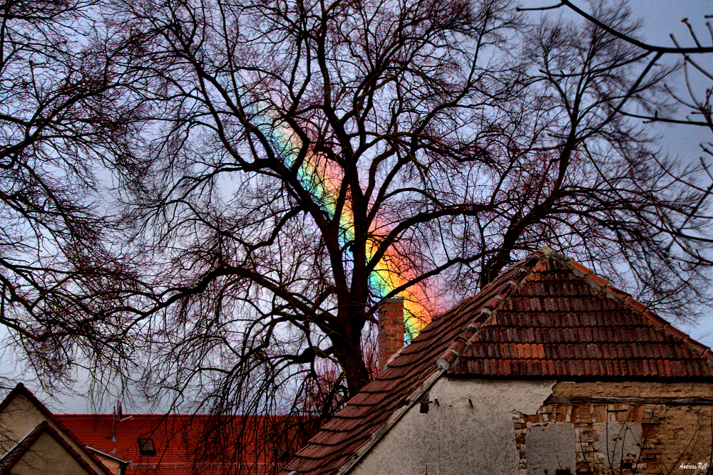 rainbow in the sky