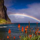 Rainbow Madeira