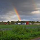 Rainbow Maestrup