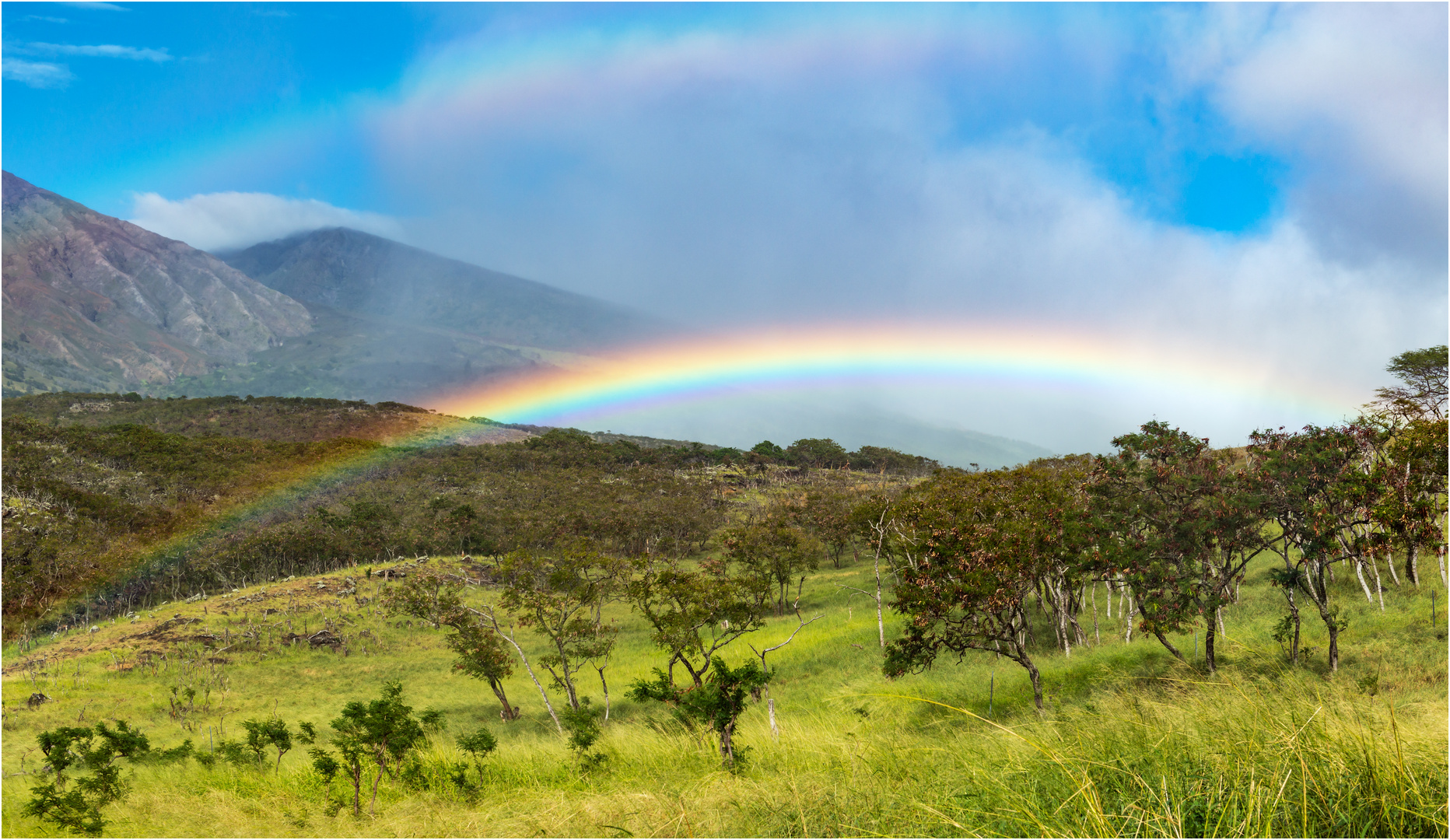 Rainbow Maui Hawaii