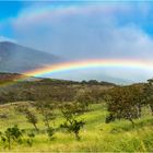 Rainbow Maui Hawaii