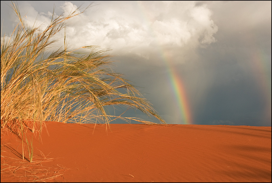 rainbow meets Grasbüschel