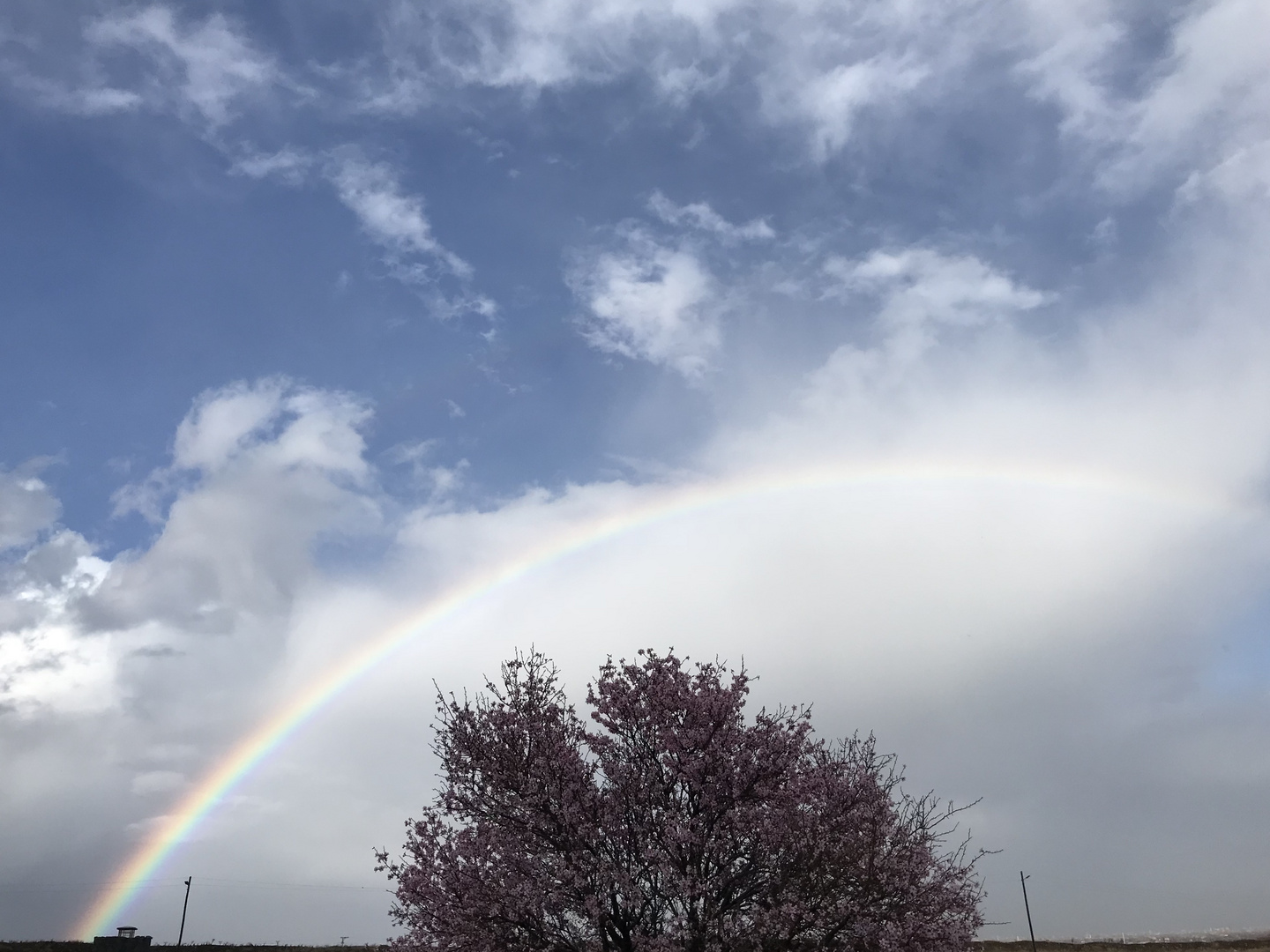 Rainbow missile launching