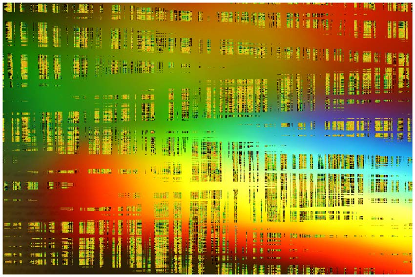 Rainbow network