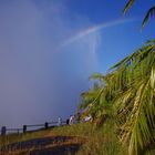 Rainbow on the falls