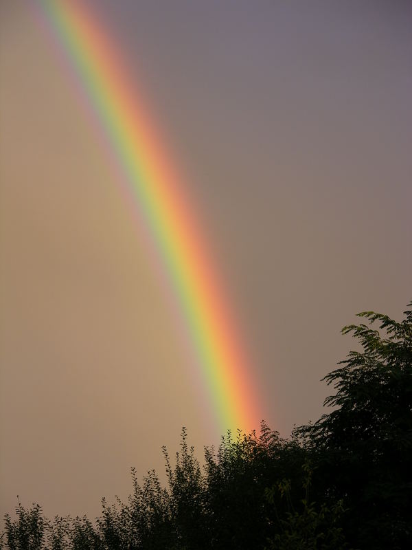 Rainbow over Cologne