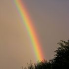 Rainbow over Cologne